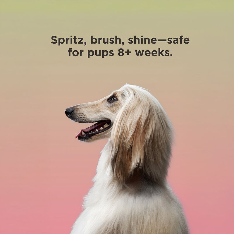 BioSilk For Dogs Irresistible Detangling and Shine Spray, , large image number null